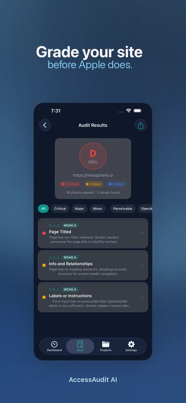 AccessAudit AI audit results for a website: a D grade and the issues found, sorted by severity