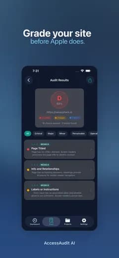 AccessAudit AI audit results for a website: a D grade and the issues found, sorted by severity